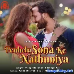 Penhelu Sona Ke Nathuniya (Vijay Chauhan, Shilpi Raj)