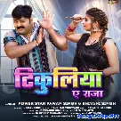 Tikuliya Ae Raja (Pawan Singh, Shivani Singh)