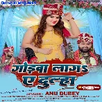 Godwa Laga Ae Dulha (Anu Dubey)