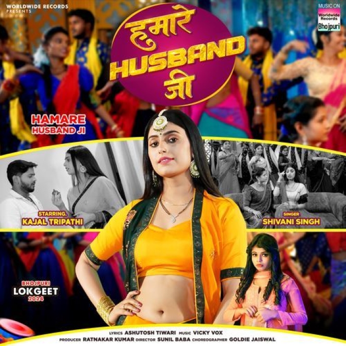 Hamare Husband Ji (Shivani Singh) 