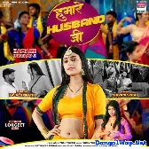 Hamare Husband Ji (Shivani Singh) 