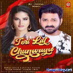 Teri Lal Chunariya (Pawan Singh, Jyotica Tangri)